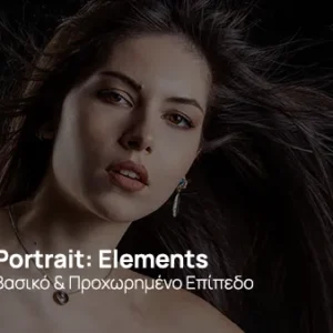 Portrait Elements