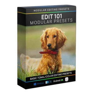 Lightroom Modular Presets: Edit 101