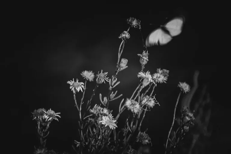 ©Pinelopi Theotikou