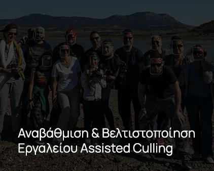 Αναβάθμιση & Βελτιστοποίηση Assisted Culling