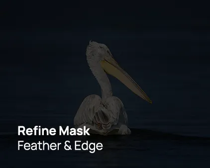 Επιλογές Refine Mask (Feather & Edge)